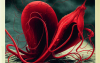 thargor6_a_large_squid_filled_with_red_wine_holding_a_beautiful_1f244861-486f-40a8-8557-4af8e2d65a75