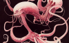 thargor6_a_large_squid_filled_with_red_wine_holding_a_beautiful_24f3b8e8-cd58-4eb9-905a-78084d45b93d