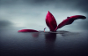 thargor6_stranded_woman_a_whale_red_wine_arnold_render_d80d9fa6-f994-43e9-970a-e7805aa0bf5f